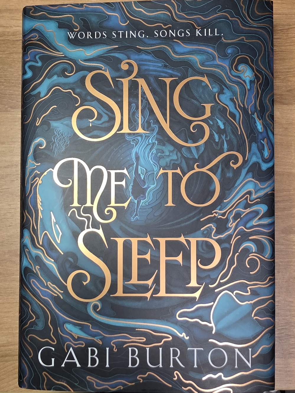 Sing Me to Sleep by Gabi Burton - Fairyloot